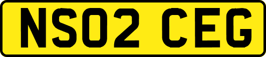 NS02CEG