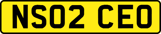 NS02CEO