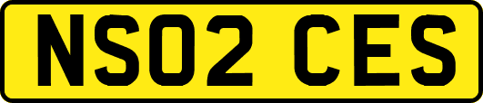 NS02CES