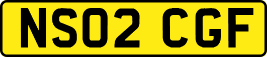 NS02CGF