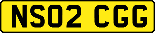 NS02CGG