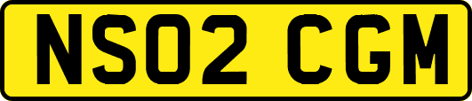 NS02CGM
