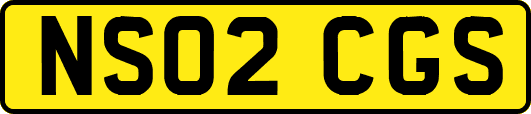 NS02CGS