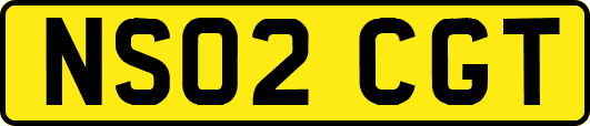 NS02CGT
