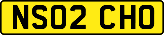 NS02CHO