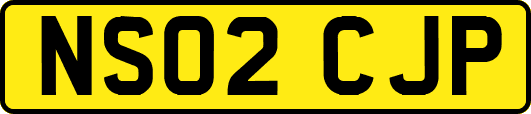 NS02CJP