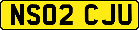 NS02CJU