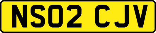 NS02CJV