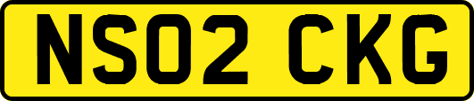 NS02CKG