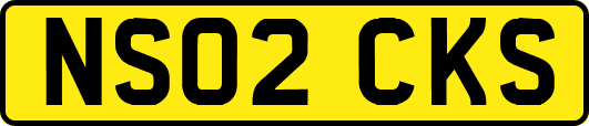 NS02CKS