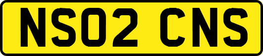 NS02CNS