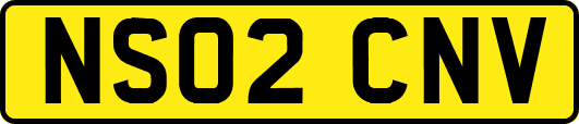 NS02CNV