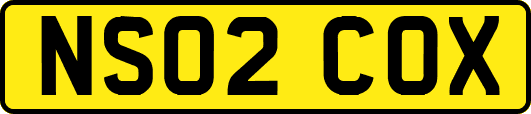 NS02COX