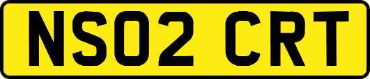 NS02CRT