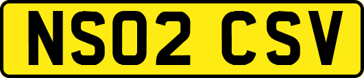 NS02CSV