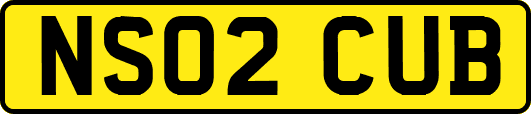 NS02CUB