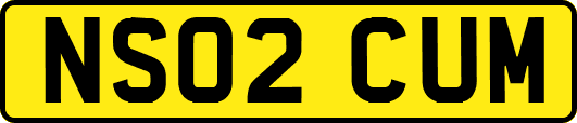 NS02CUM