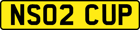 NS02CUP