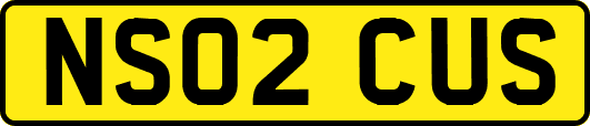 NS02CUS