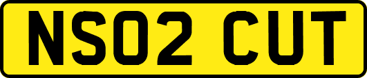 NS02CUT