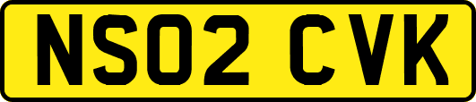 NS02CVK