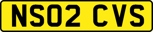 NS02CVS