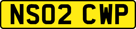 NS02CWP