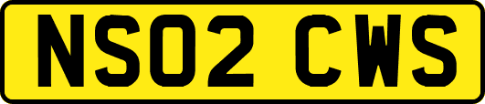 NS02CWS