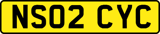 NS02CYC