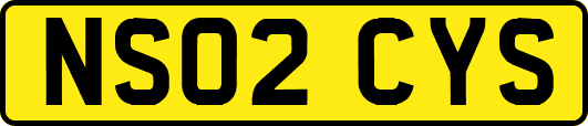 NS02CYS
