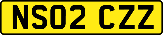 NS02CZZ