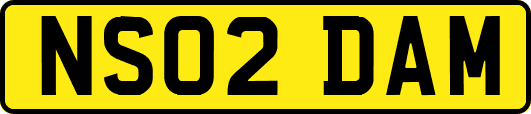 NS02DAM