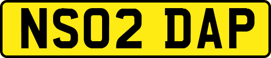 NS02DAP
