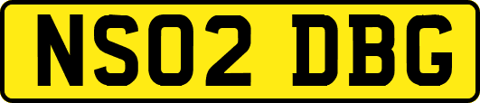 NS02DBG