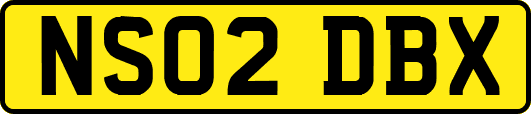 NS02DBX