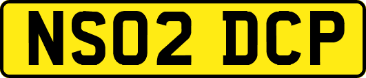 NS02DCP