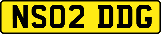 NS02DDG