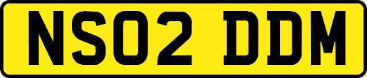 NS02DDM