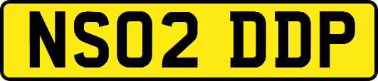 NS02DDP