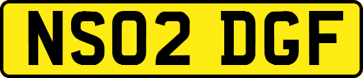 NS02DGF