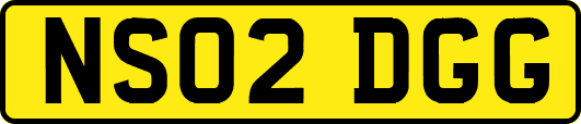 NS02DGG