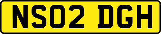 NS02DGH