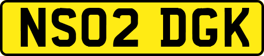 NS02DGK