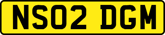 NS02DGM