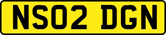 NS02DGN