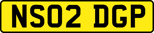 NS02DGP
