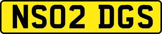 NS02DGS