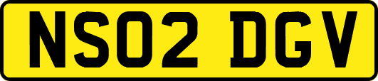 NS02DGV