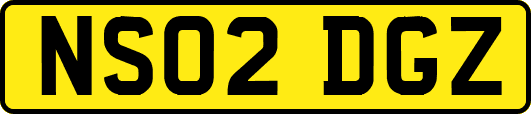 NS02DGZ