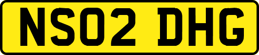 NS02DHG